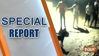 Special Report | October 7, 2018