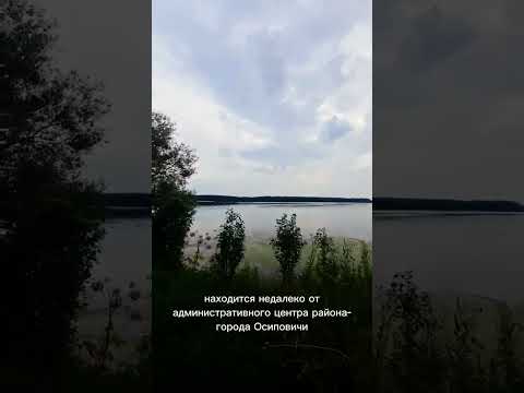 Купить дом, аг. Вязье, ул. Богдановича, 20 (Осиповичский р-н, Могилевская область)