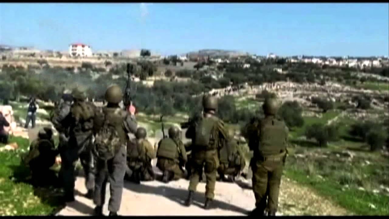 Matéria de Capa - As guerras da água