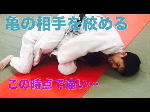 【寝技研究会】亀から絞め技へ！八段道場