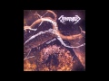 Capharnaum - Ingrained 