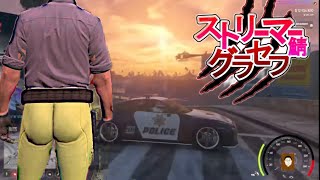 【警察12日目】　23時からの公式レース出るた後出勤するぞ　#ストリーマーグラセフ