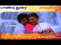 மல்லியே சின்ன முல்லையே PAANDI THURAI 5 1 SONG DTS SORROUND