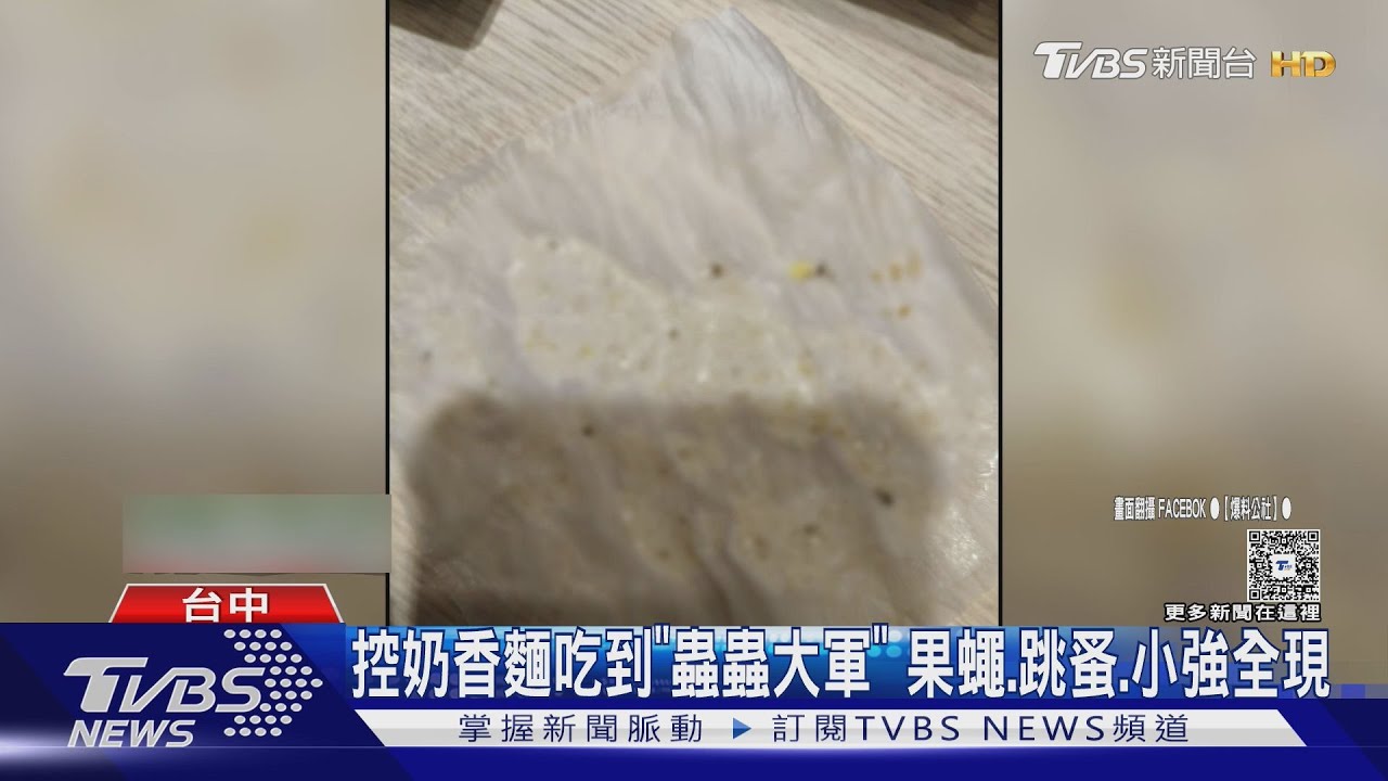 連鎖粥品店遭控奶香麵有「蟲蟲大軍」 果蠅、跳蚤、小強全現