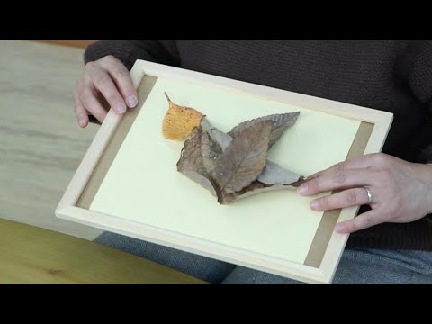 001:落ち葉の見立て遊び【子どもゆうちゅう部】