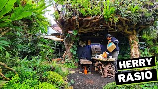 #361 Dolan ke kota Malang ke rumah Herry rasio