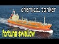 Fortune Swallow Chemical Tanker Entering At Chemical Discharging Terminal Bataan Marinosvlog TV