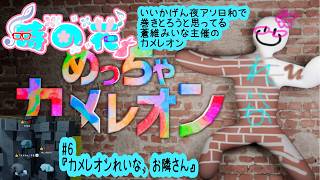 【めっちゃカメレオン】夜アソ日和メンツだけど蒼維みいな主催のカメレオン　#6【かくれんぼ】
