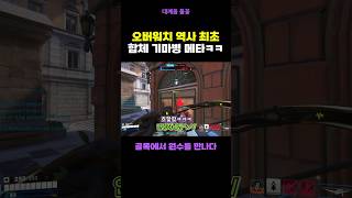 만우절 한조가 오리사 타고 다니는 거 못 참지ㅋㅋ