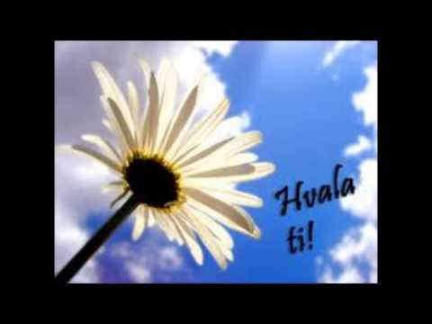 Vođena meditacija Zahvalnosti - Ana Bučević