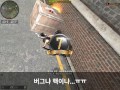 이런 버그는 빨리 패치되길..