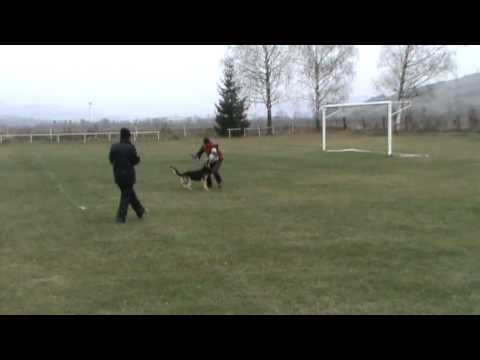 FAJO spod Lazov IPO1