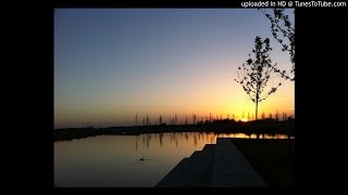 HONOR - Never Off (PANG! Remix)