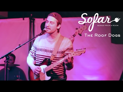The Roof Dogs - Late Great Mount McKinley | Sofar Columbus