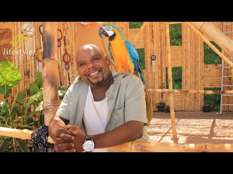 يا عيون مشاء الله نائل دياب