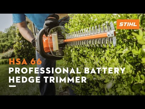 Stihl HSA 66 in Kerrville, Texas - Video 1