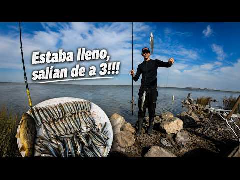 PEJERREY EN CANTIDAD!!! Espectacular PESCA Y COCINA en hermosa laguna GRATIS en Córdoba!!!