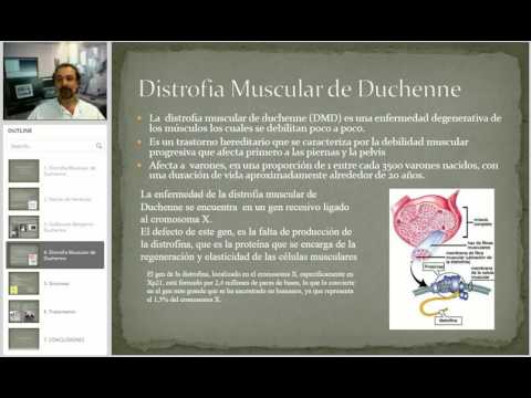 Dr EDUARDO KREMENCHUTZKY - SEMINARIOS DE INTEGRACION - DUCHENNE