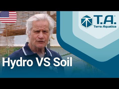 Timelapse experience : Hydropony Vs Soil with William Texier