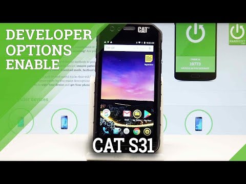 CAT S31 Developer Options / OEM Unlocking / USB Debugging