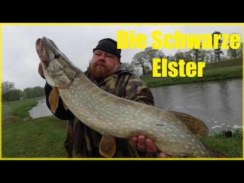 River fishing for pike, eel and other fish species