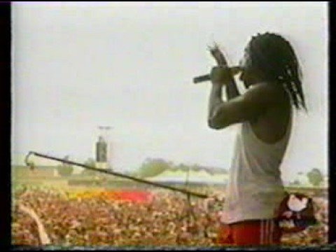 Sevendust Headtrip Live at Woodstock