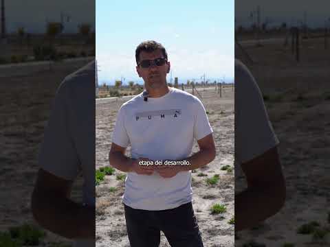 Lotes en Tupungato Valley con Escritura y Renta Turística