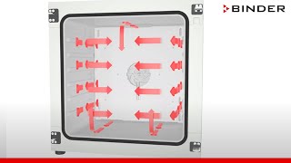 Инкубаторы лабораторные с принудительной конвекцией Binder BF 56