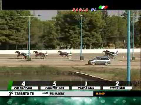 26/09/2013, Taranto , Premio Maglie