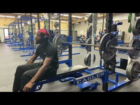 Spring Cut Day 60 (Upper Body)