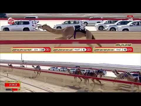 ش 1 (أرصاد) لـ حمد سالم بالعود العامري 5:48:98 ، مهرجان ختامي الوثبة 2026/02/28 حقايق