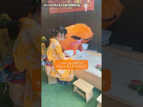 茶色がかった赤色のトゲトゲの実「コッパーカーペット」 植物