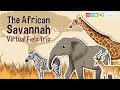 African Savannah Virtual Field Trip