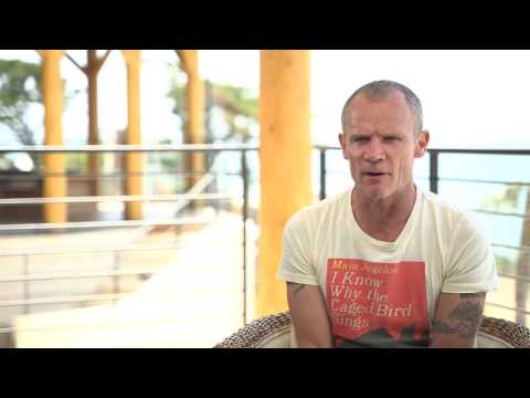 Red Hot Chili Peppers - Flea on the Energy of the Live Shows [The Getaway Track-By-Track Commentary]