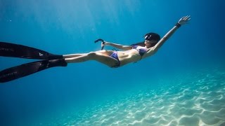 Blue Summer - 自由潛水