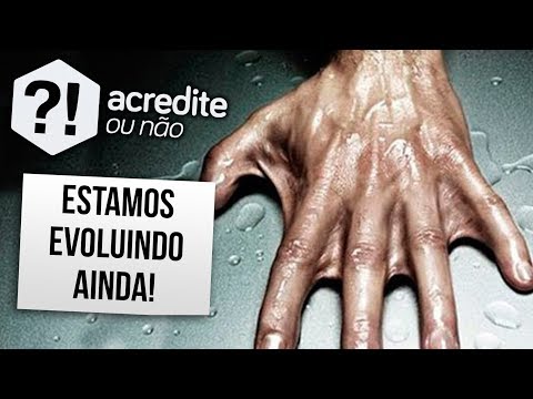 4 PONTOS EM QUE O SER HUMANO AINDA PODE EVOLUIR