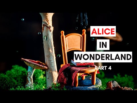 PART 4: Alice in wonderland