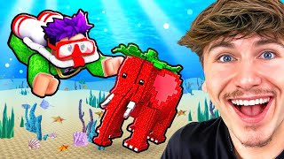 Video thumbnail image