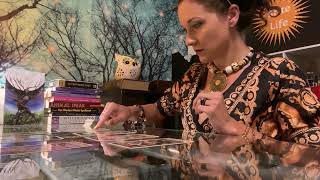 Zoomed: Award Winning Full Movie 2023