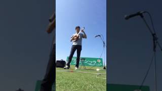 "Akaka Falls" Jake ver.