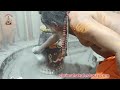 Mahakaleshwar Bhasm Aarti Darshan 17 Sep 2023 Bhasmaartimahakal Shorts