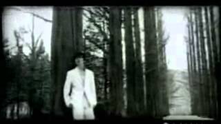 winter sonata ( moment ) ryu