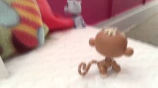 "Gold Star" Fan Video