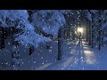 🎶✨🎄A Celtic Christmas - Linn Barnes and Allison Hampton [Full Album]🔔 🎉 🎅