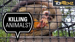 10 Reasons Zoos Are Bad for the Planet