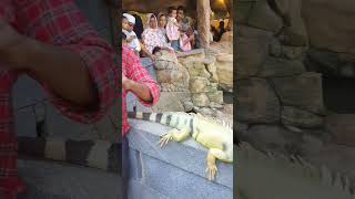 Download lagu pazhayangadi kannur #shortsfeed #shorts #youtubeshorts #vlog #youtube mp3 Download lagu pazhayangadi kannur #shortsfeed #shorts #youtubeshorts #vlog #youtube mp3