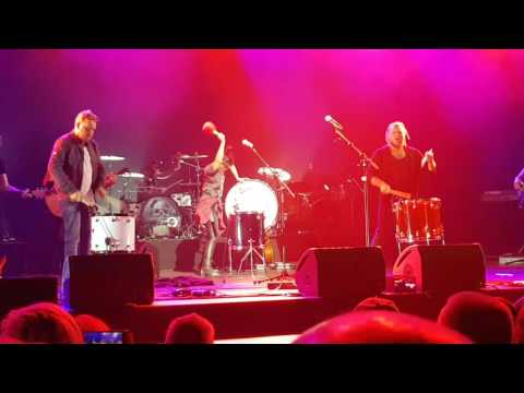 TAILOR - PRIME CIRCLE- JUST JINGER