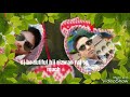 Aashiqui 2 Ka Gana 2