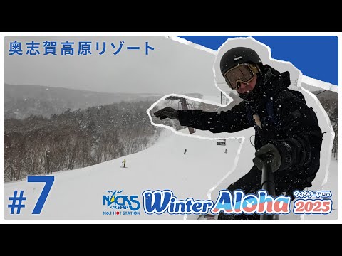 Video: 100％天然のドライパウダー！奥志賀高原スキー場をご紹介