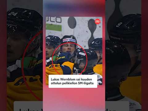 Lukas Wernblom sai kuuden ottelun pelikiellon SM-liigalta